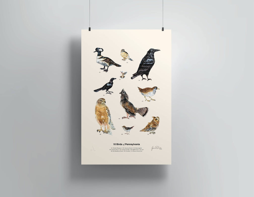 12" x 18" Birds of Pennsylvania Print
