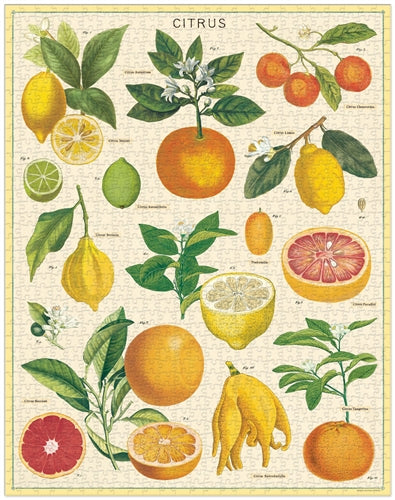 citrus puzzle - 1,000 pc