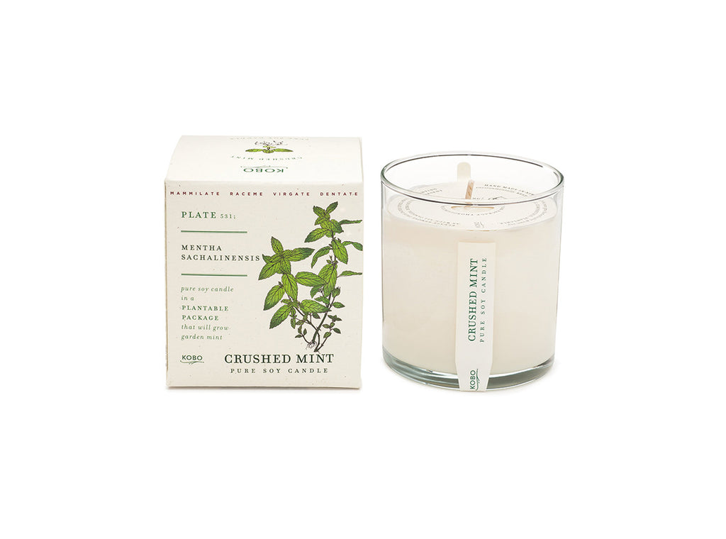 crushed mint candle