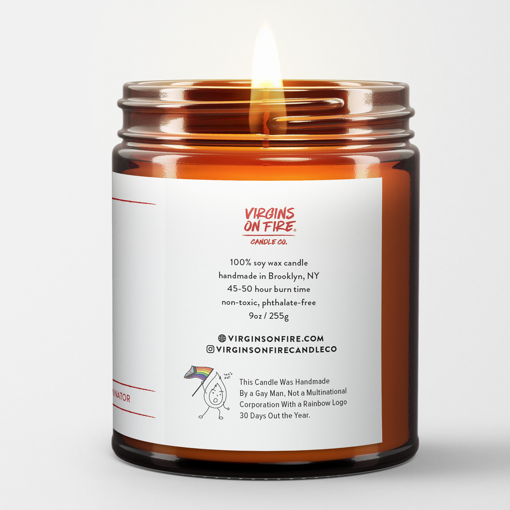 THIS CANDLE WAS MADE BY A GAY MAN