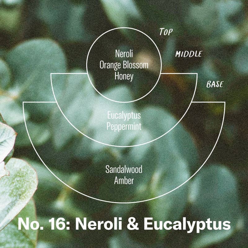 Neroli & Eucalyptus 7.2 oz Candle
