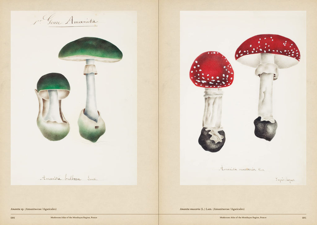 Mushroom Botanical Art Book