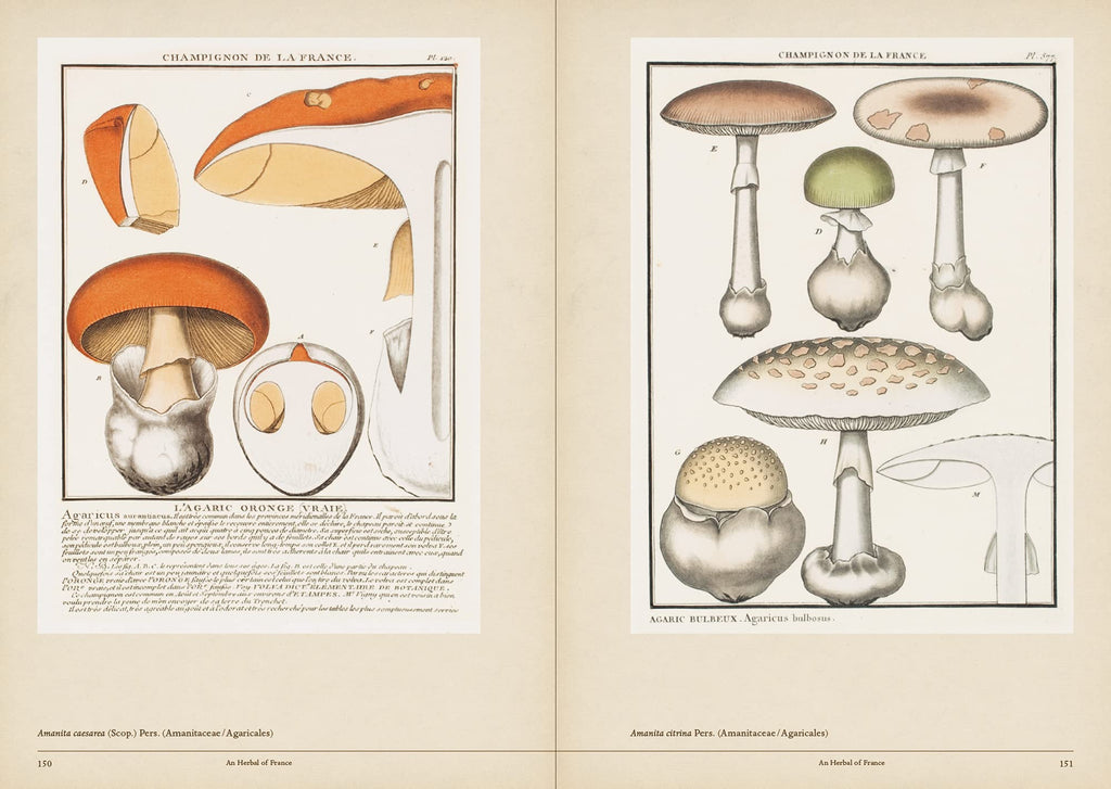 Mushroom Botanical Art Book