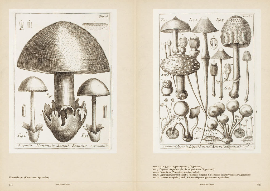 Mushroom Botanical Art Book