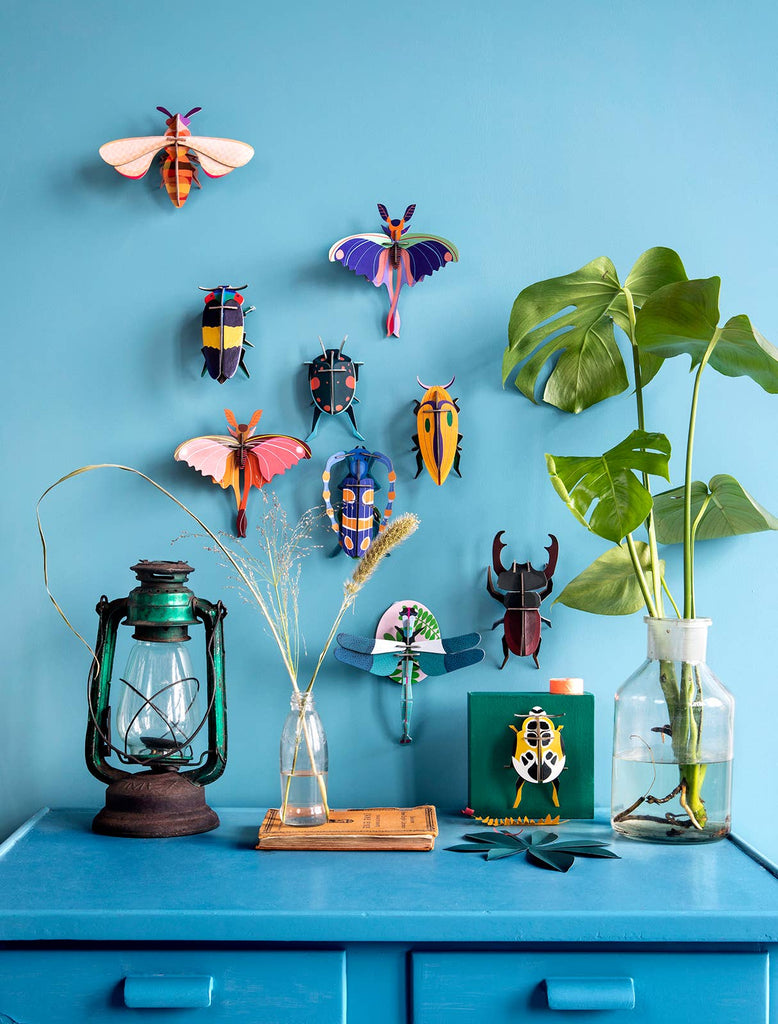 Rosalia Beetle