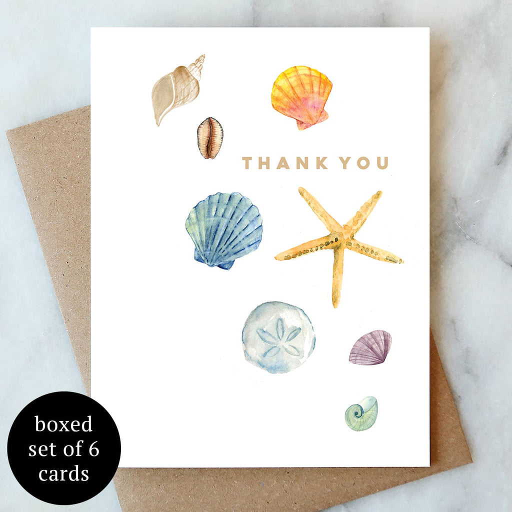 Shells Thank You Card - Box Set of 6