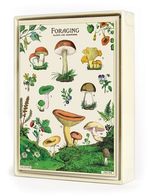 foraging assorted boxed notecards - 8 count