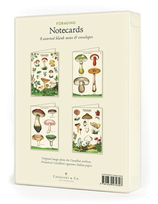 foraging assorted boxed notecards - 8 count