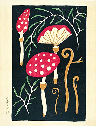 Mushroom Postcards Book