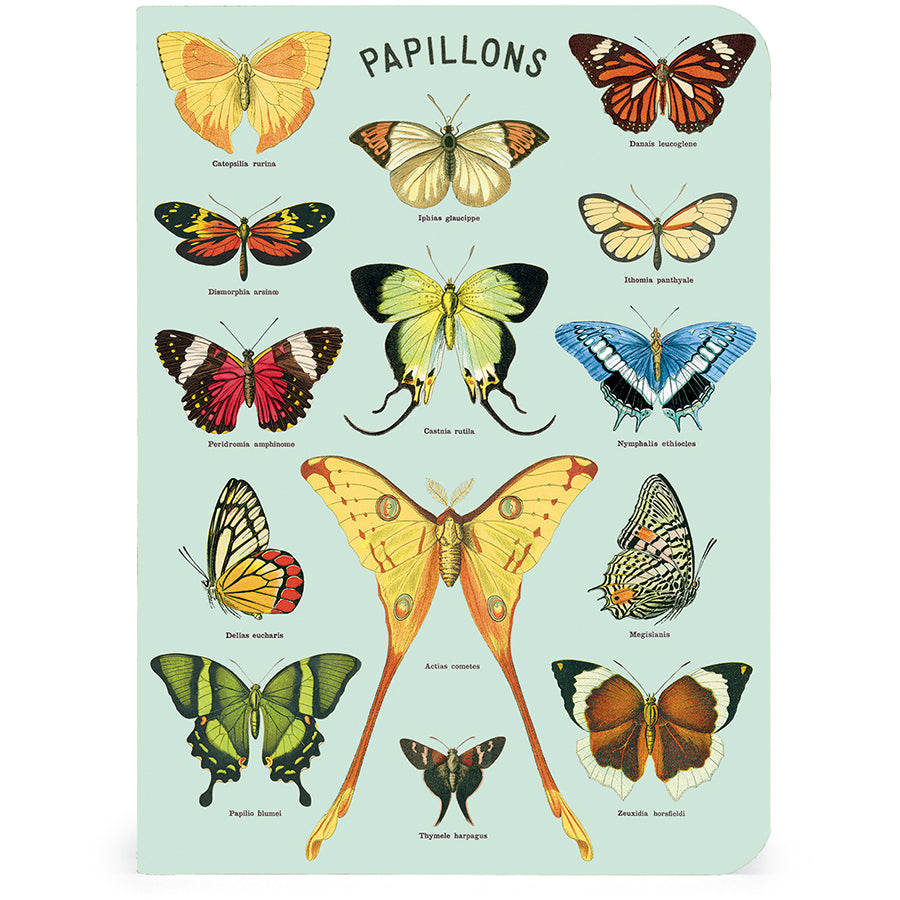 butterflies mini notebooks - set of 3