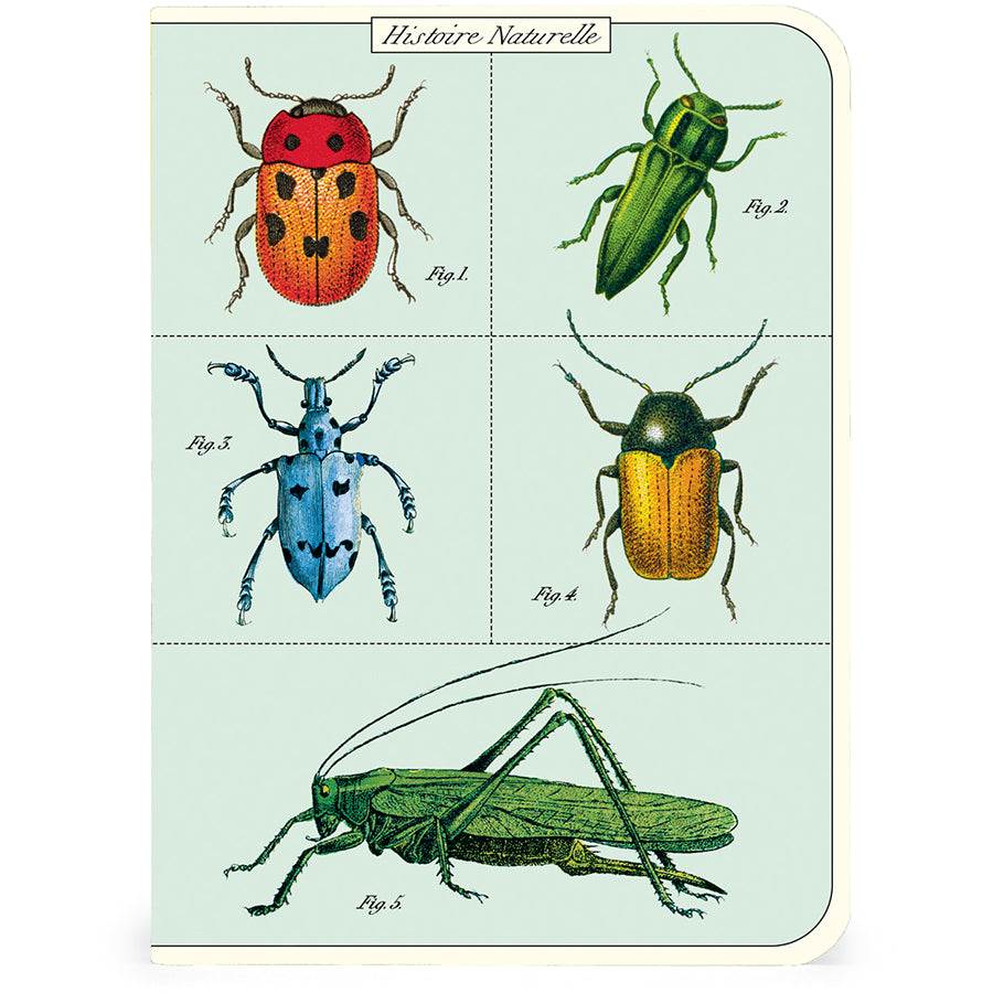 bugs & insects mini notebooks - set of 3