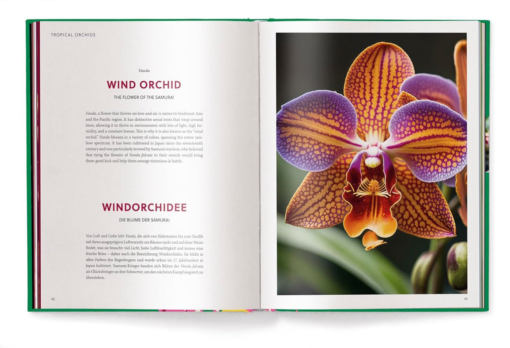 Orchids Book