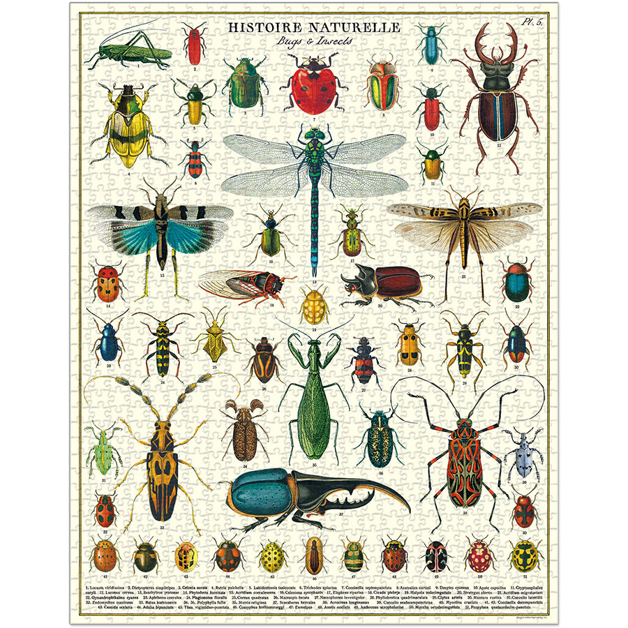 Bugs & Insects puzzle - 1,000 pc