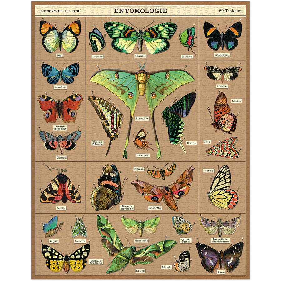 Entomology puzzle - 1,000 pc