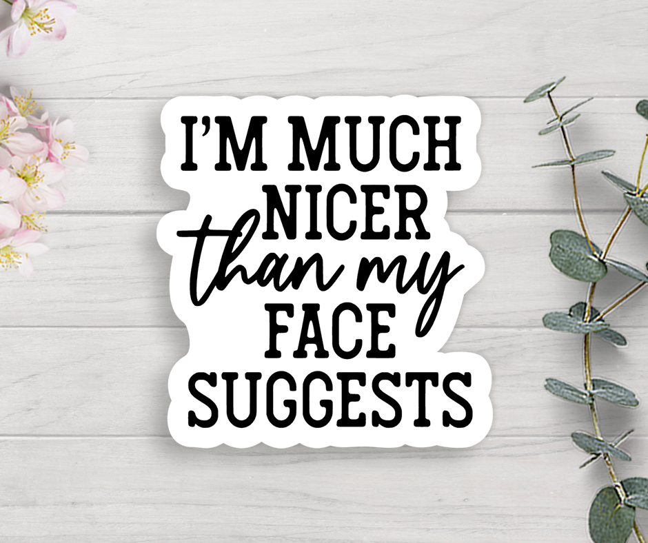 Nicer Than My Face Suggests Vinyl Sticker