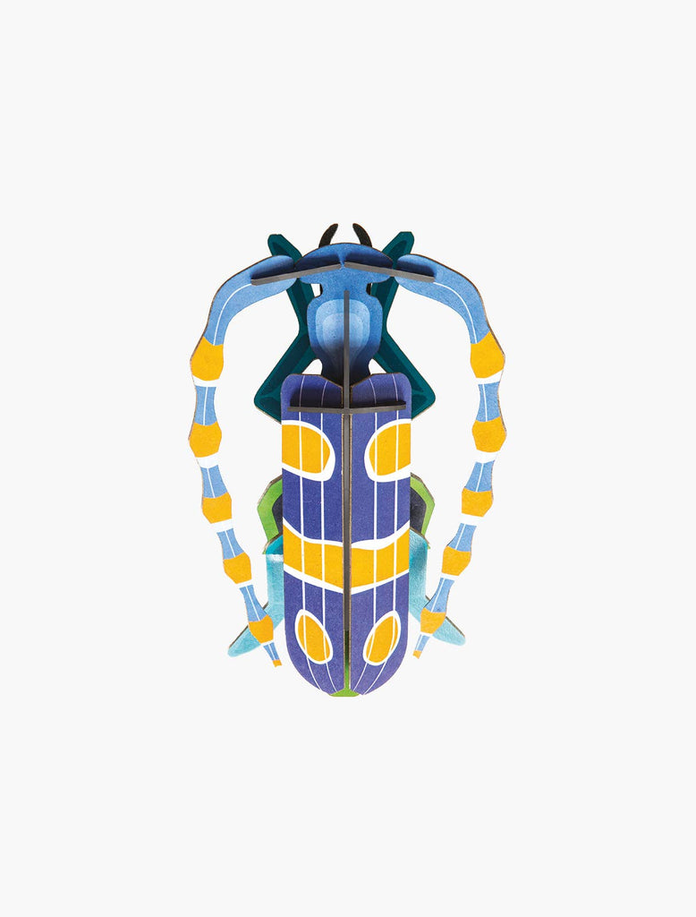 Rosalia Beetle