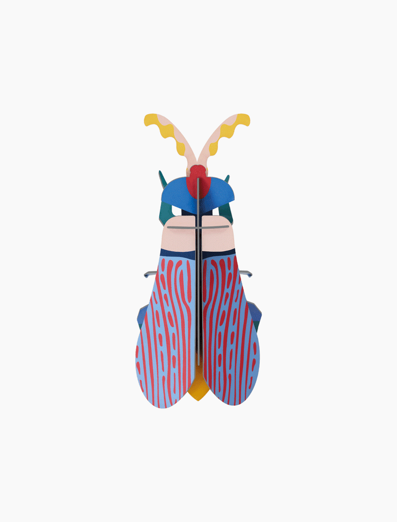 Striped Wing Beetle