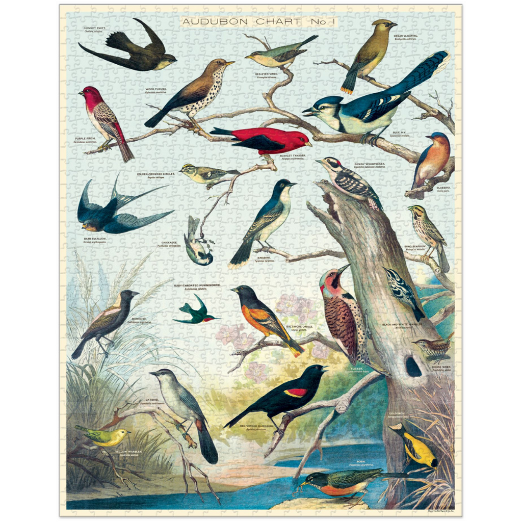 birds puzzle - 1,000 pc