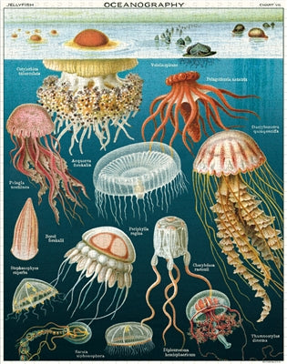jellyfish puzzle - 1,000 pc