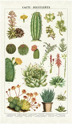 cacti & succulents tea towel