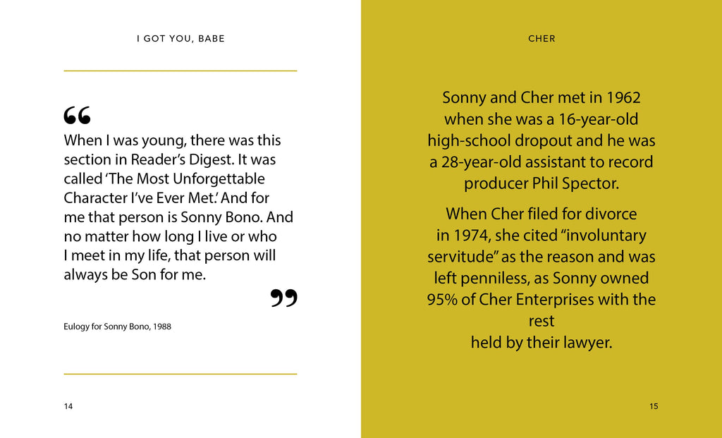 The Little Guide to Cher Book