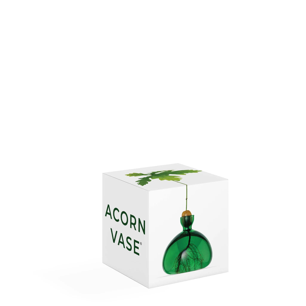 acorn vase
