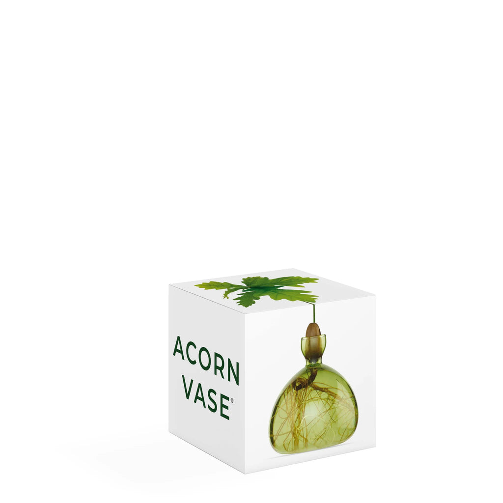 acorn vase