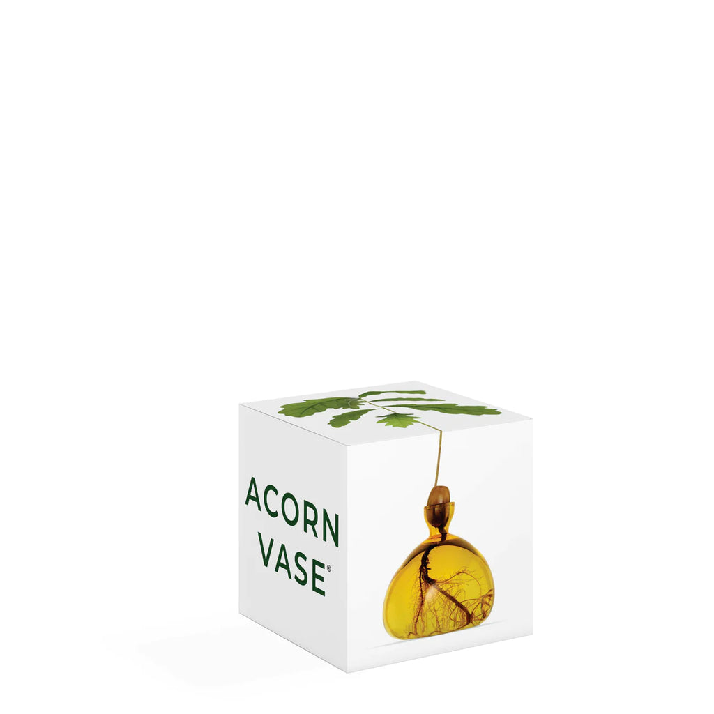 acorn vase
