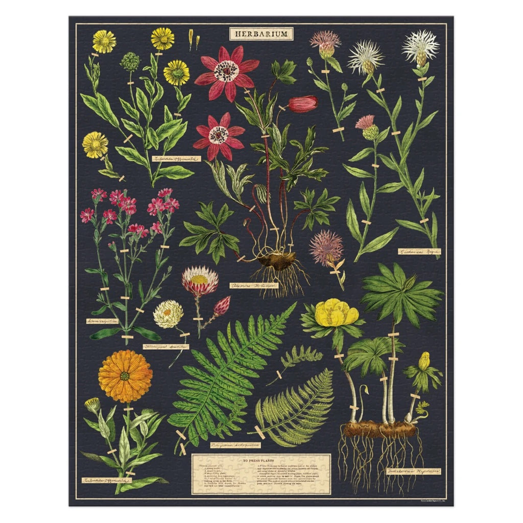 herbarium puzzle - 1,000 pc