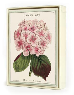 fleur boxed thank you cards - 8 count